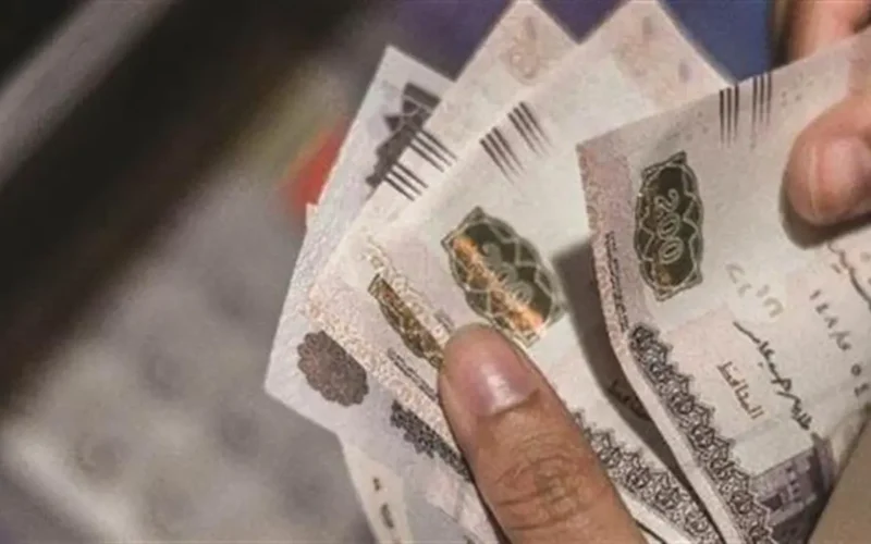 قانون التأمينات يحدد 6 حالات تستحق الحصول على معاش شهري ثابت بانتظام